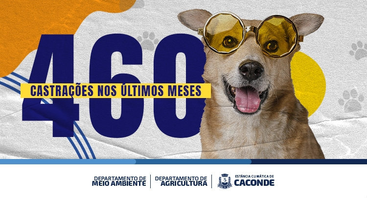 Capa da notícia
